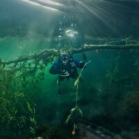 Duikclub Bermuda-Divers